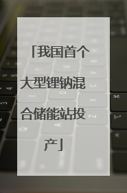 我国首个大型锂钠混合储能站投产