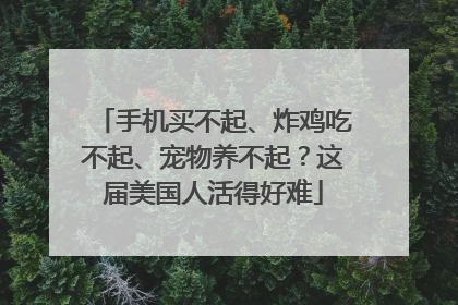 手机买不起、炸鸡吃不起、宠物养不起？这届美国人活得好难