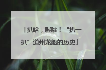 扒哈，喔嚯！“扒一扒”道州龙船的历史