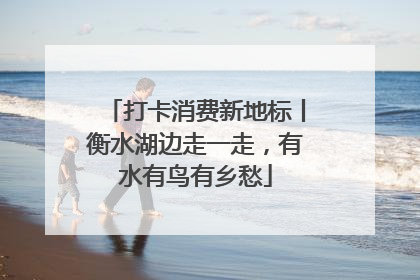 打卡消费新地标丨衡水湖边走一走，有水有鸟有乡愁