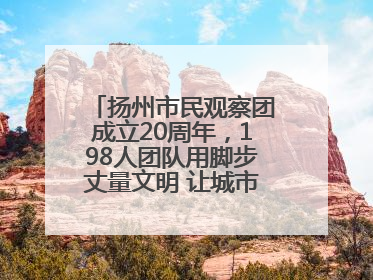 扬州市民观察团成立20周年，198人团队用脚步丈量文明 让城市更有温度
