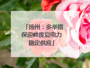 扬州：多举措保迎峰度夏电力稳定供应