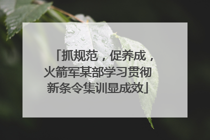 抓规范，促养成，火箭军某部学习贯彻新条令集训显成效