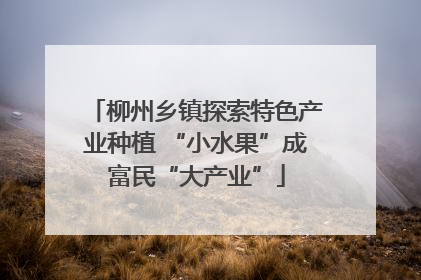 柳州乡镇探索特色产业种植 “小水果”成富民“大产业”