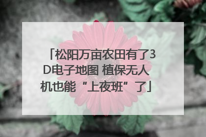 松阳万亩农田有了3D电子地图 植保无人机也能“上夜班”了