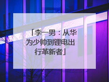 李一男：从华为少帅到锂电出行革新者