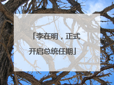 李在明，正式开启总统任期