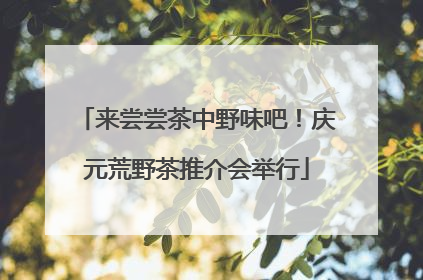 来尝尝茶中野味吧！庆元荒野茶推介会举行