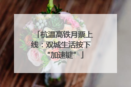 杭温高铁月票上线：双城生活按下“加速键”