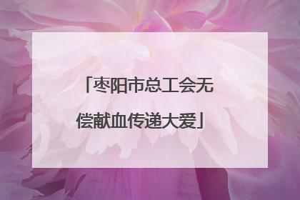 枣阳市总工会无偿献血传递大爱