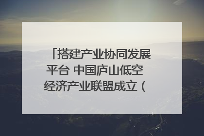 搭建产业协同发展平台 中国庐山低空经济产业联盟成立（组图｜视频）