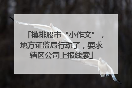 摸排股市“小作文”，地方证监局行动了，要求辖区公司上报线索