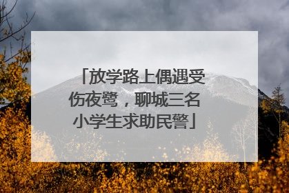 放学路上偶遇受伤夜鹭，聊城三名小学生求助民警