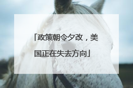 政策朝令夕改，美国正在失去方向
