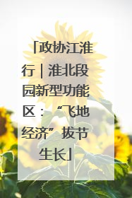 政协江淮行｜淮北段园新型功能区：“飞地经济”拔节生长