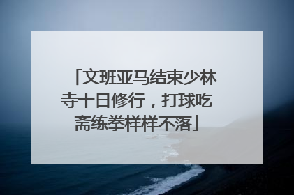 文班亚马结束少林寺十日修行，打球吃斋练拳样样不落