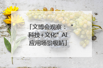 文博会观察：“科技+文化”AI应用场景吸睛