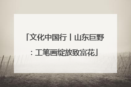 文化中国行丨山东巨野：工笔画绽放致富花
