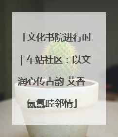 文化书院进行时｜车站社区：以文润心传古韵 艾香氤氲睦邻情