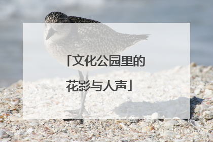 文化公园里的花影与人声