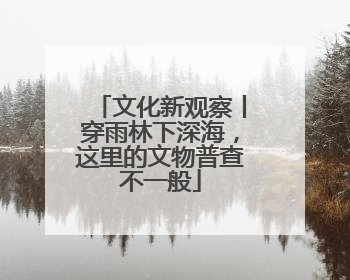 文化新观察丨穿雨林下深海，这里的文物普查不一般