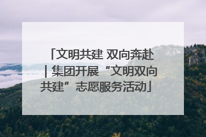 文明共建 双向奔赴｜集团开展“文明双向共建”志愿服务活动