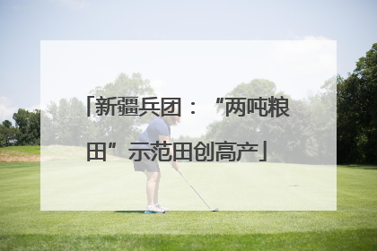 新疆兵团：“两吨粮田”示范田创高产