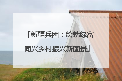 新疆兵团：绘就绿富同兴乡村振兴新图景