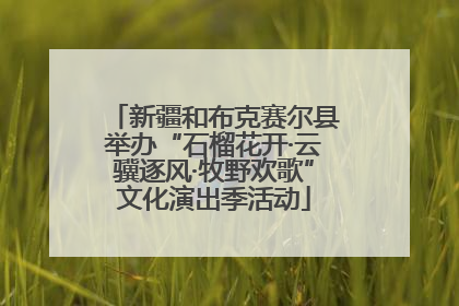 新疆和布克赛尔县举办“石榴花开·云骥逐风·牧野欢歌”文化演出季活动