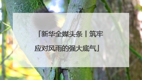 新华全媒头条丨筑牢应对风雨的强大底气