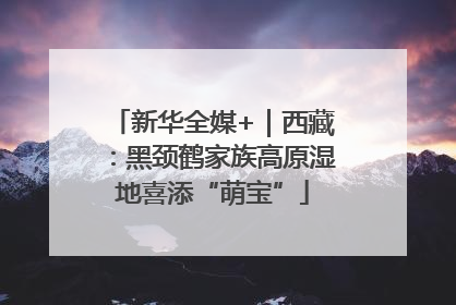 新华全媒+｜西藏：黑颈鹤家族高原湿地喜添“萌宝”