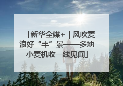 新华全媒+｜风吹麦浪好“丰”景——多地小麦机收一线见闻