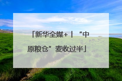 新华全媒+丨“中原粮仓”麦收过半