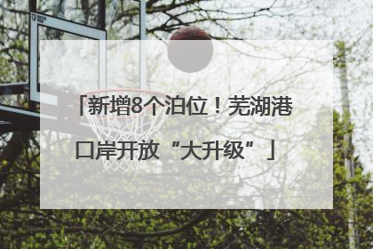 新增8个泊位！芜湖港口岸开放“大升级”