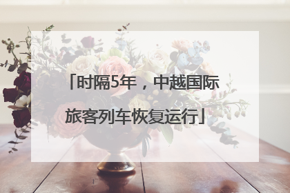 时隔5年，中越国际旅客列车恢复运行