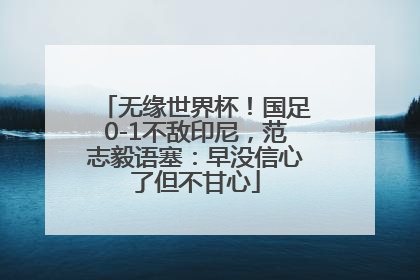 无缘世界杯！国足0-1不敌印尼，范志毅语塞：早没信心了但不甘心