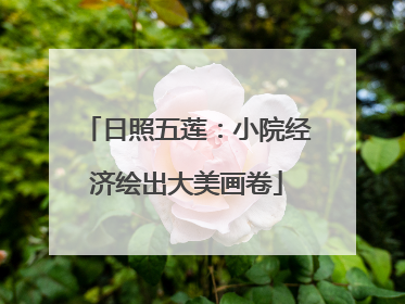 日照五莲：小院经济绘出大美画卷