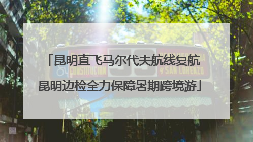 昆明直飞马尔代夫航线复航 昆明边检全力保障暑期跨境游