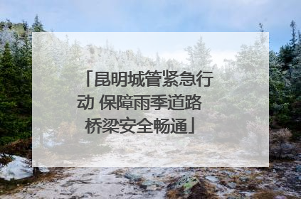 昆明城管紧急行动 保障雨季道路桥梁安全畅通