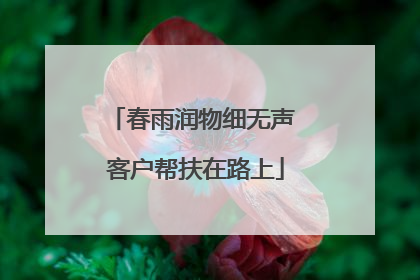 春雨润物细无声 客户帮扶在路上