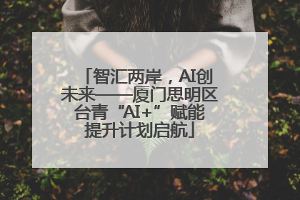 智汇两岸，AI创未来——厦门思明区台青“AI+”赋能提升计划启航