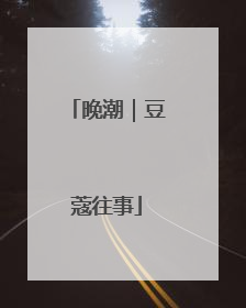 晚潮｜豆蔻往事