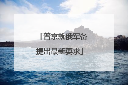 普京就俄军备提出最新要求