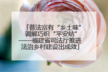 普法富有“乡土味” 调解巧织“平安结”——福建省司法厅推进法治乡村建设出成效