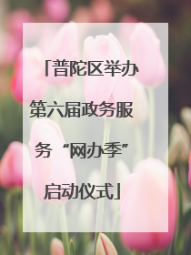 普陀区举办第六届政务服务“网办季”启动仪式