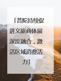 普陀持续促进文旅商体展深度融合，激活区域消费活力