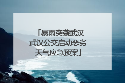 暴雨突袭武汉 武汉公交启动恶劣天气应急预案