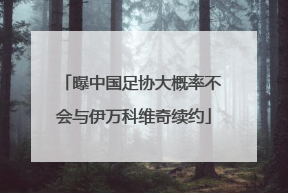 曝中国足协大概率不会与伊万科维奇续约