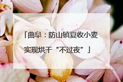 曲阜：防山镇夏收小麦实现烘干“不过夜”