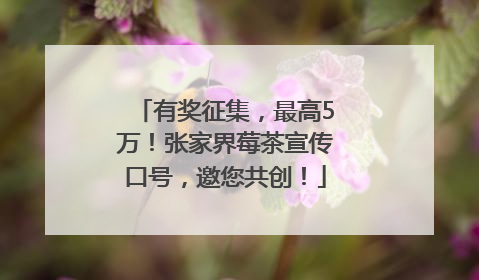 有奖征集，最高5万！张家界莓茶宣传口号，邀您共创！